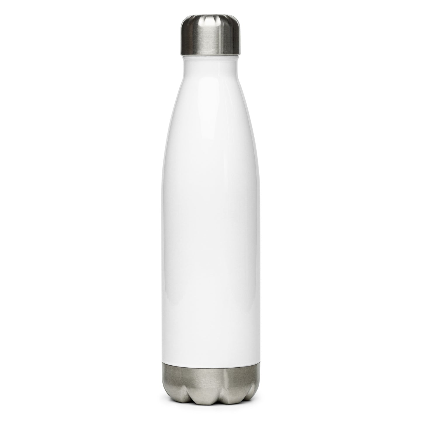 Stainless Steel she-pirate Water Bottle